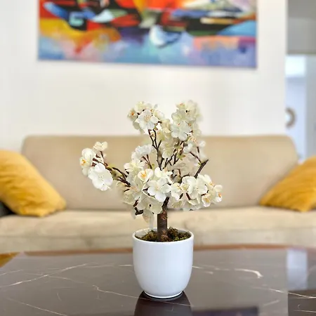 Lägenhet 2 Pieces Avec Balcon *