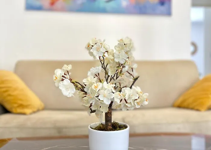 Apartamento 2 Pieces Avec Balcon *